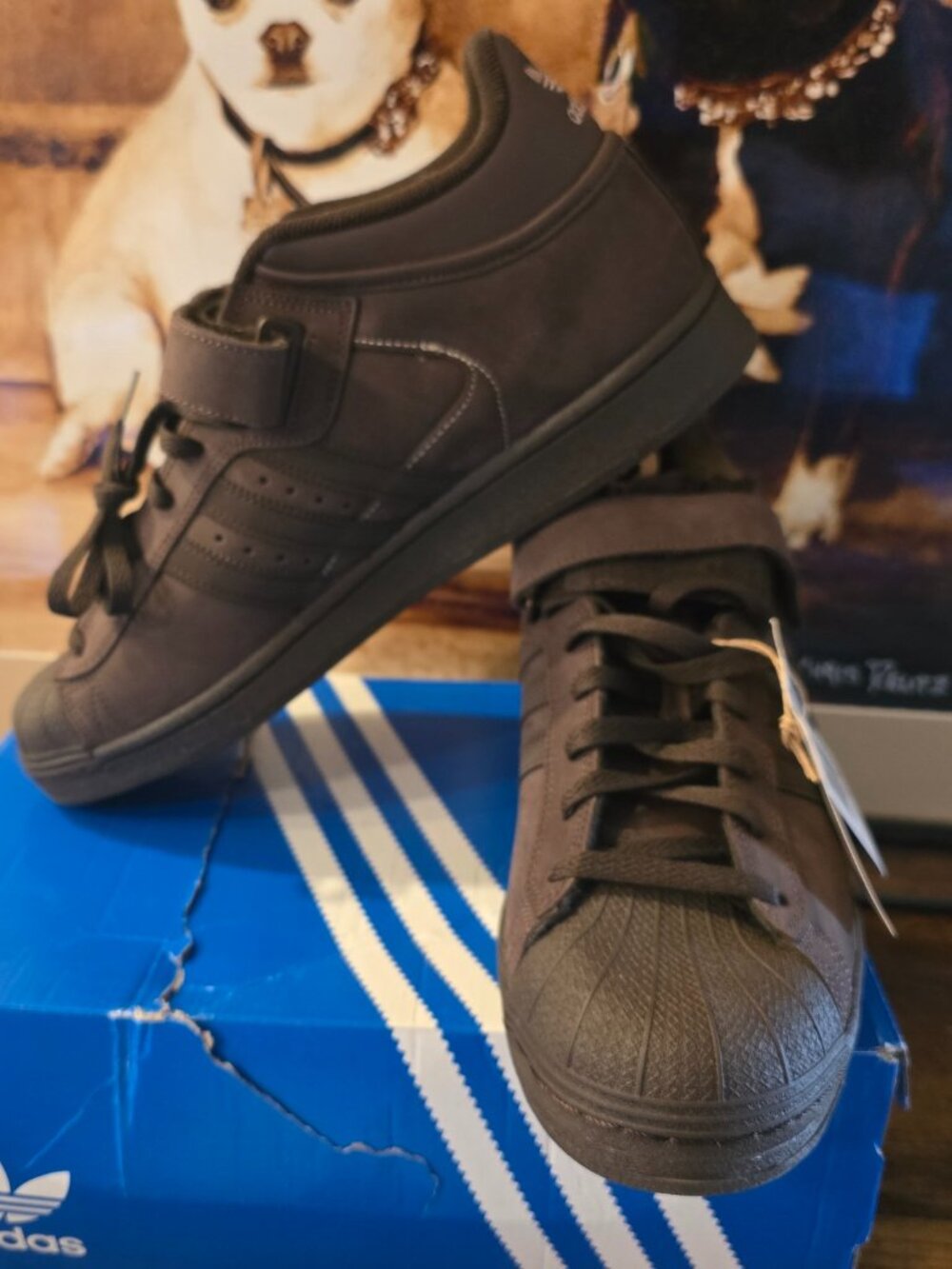ADIDAS Pro Shell ADV x Niels Bennett Men Sneakers Skateboarding Shoes SIZE 12